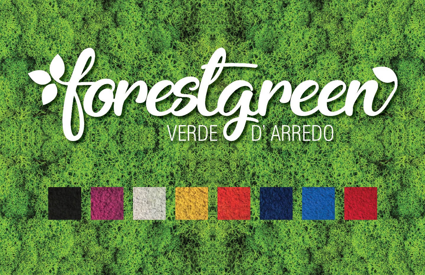 forestgreen Verde d'Arredo - Vivai, Fiori e Piante da interno Teramo e provincia